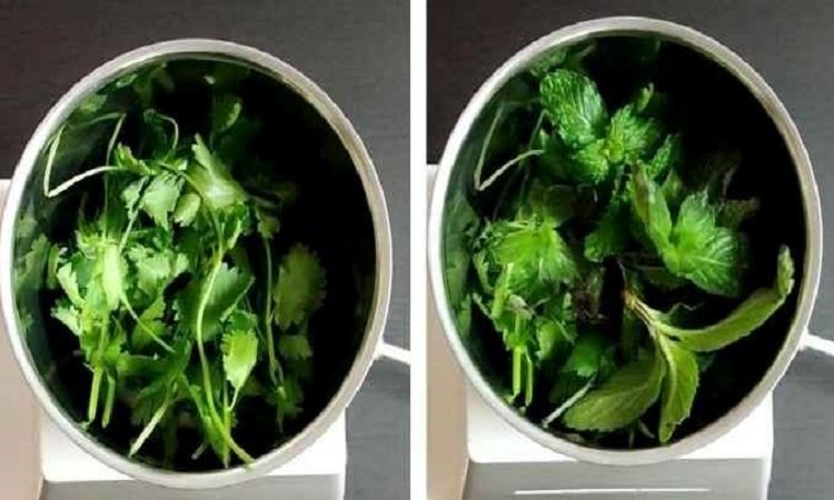 Mint Water For Weight Loss: Mint leaves with coolness are helpful in weight loss, know tips