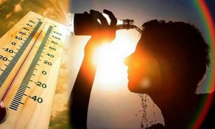 These five troubles haunt in the scorching heat, know easy tips to prevent these diseases