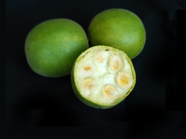 Monk fruit, 300 times sweeter than sugar, is a better alternative to sugar in diabetes