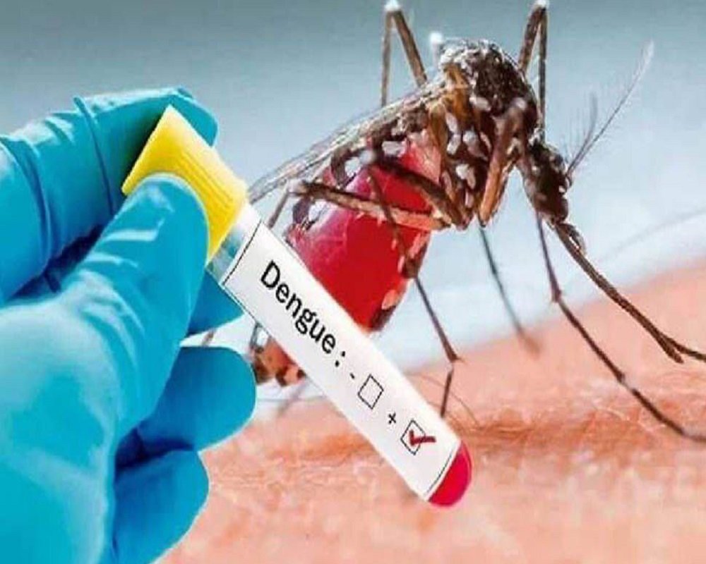 ras-officer-dies-of-dengue-in-rajasthan-06-10-2024