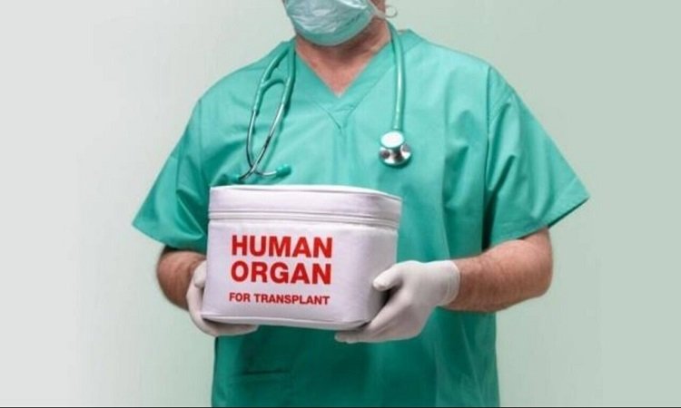 Organ Transplant: हार्ट और किडनी जयपुर में ट्रांसप्लांट, लिवर जोधपुर भेजा गया
